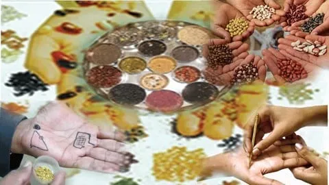 Certificate In Su Jok Seed Therapy - Free Health & Fitness Course