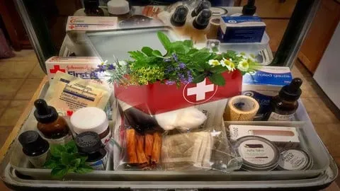 Certificate In Herbal First Aid & DIY Herbal First Aid Kit - Free Health & Fitness Course