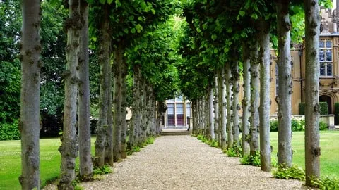 Purpose Driven Leadership - Free Business Course