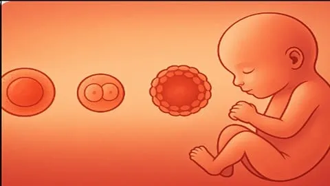 Clinical Embryology: From Concept to Practice - Free Teaching & Academics Course