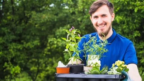 Hydroponics & Horticulture: Modern Farming Techniques 101 - Free Lifestyle Course