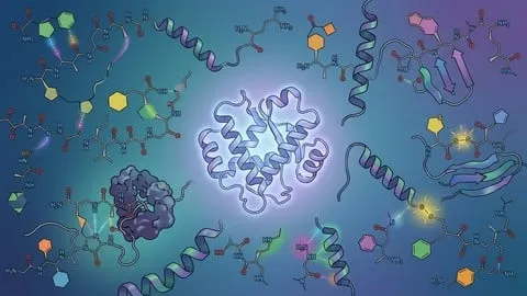 MCAT Biochemistry Practice Tests 2026: Amino Acids & Protein - Free Teaching & Academics Course