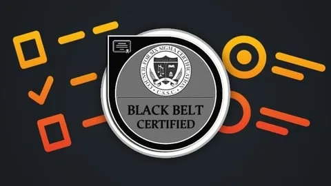 Lean Six Sigma Black Belt - Exam Preparation 2026