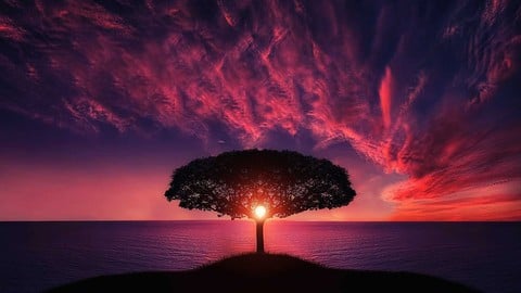 Complete Photography Masterclass: 4 Courses IN 1 - Free Photography & Video Course by Creative Online School. Learn Photography & Video skills with this comprehensive Udemy course available at 100% discount.