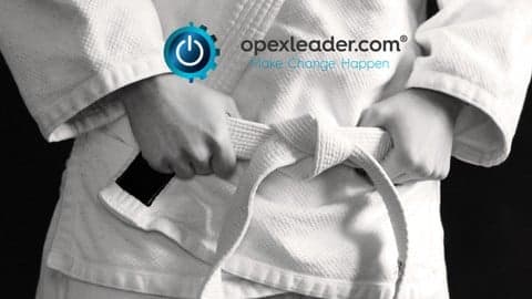 Lean Six Sigma White Belt (Accredited)
