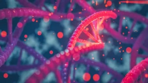 Secrets of DNA and Its Manipulation - Free Teaching & Academics Course by Learntoupgrade Online. Learn Teaching & Academics skills with this comprehensive Udemy course available at 100% discount.