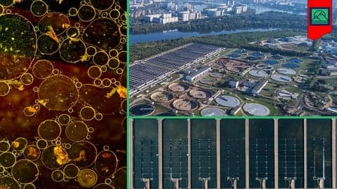 Introduction to Wastewater Treatment