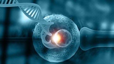 Clinical Embryology Techniques - Free Teaching & Academics Course by Learntoupgrade Online. Learn Teaching & Academics skills with this comprehensive Udemy course available at 100% discount.
