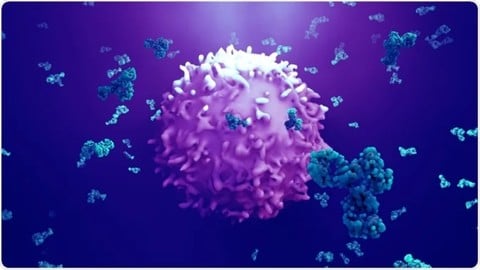 Antigens: The Structure, Function, and Immune Response - Free Teaching & Academics Course by Unknown Author. Learn Teaching & Academics skills with this comprehensive Udemy course available at 100% discount.