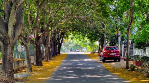 Urban Tree Planting - Free Teaching & Academics Course by Unknown Author. Learn Teaching & Academics skills with this comprehensive Udemy course available at 100% discount.