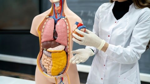 Medical Coding Part 2: CPT Coding & Medical Billing Basics - Free Teaching & Academics Course by Unknown Author. Learn Teaching & Academics skills with this comprehensive Udemy course available at 100% discount.