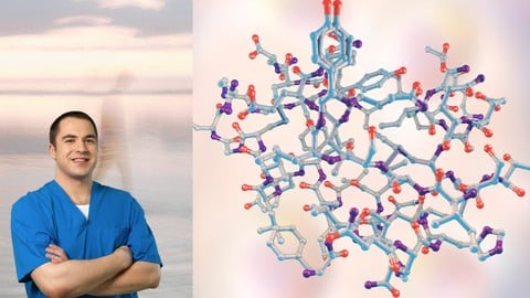 Hormonal Health Mastery: Stress, Sex, Diet & Steroid Effects - Free Health & Fitness Course by Unknown Author. Learn Health & Fitness skills with this comprehensive Udemy course available at 100% discount.