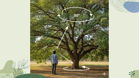 Tree Risk Inspection Basics: Assessing for health and safety - Free Teaching & Academics Course by Unknown Author. Learn Teaching & Academics skills with this comprehensive Udemy course available at 100% discount.