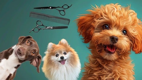 Pet Business with Dog Grooming for Aspiring Petpreneurs - Free Lifestyle Course Pet Business with Dog Grooming for Aspiring Petpreneurs - Free Lifestyle Course by Unknown Author. Learn Lifestyle skills with this comprehensive Udemy course available at 100% discount.